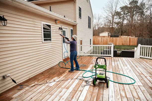 Best Roof Pressure Washing  in Adrian, MI