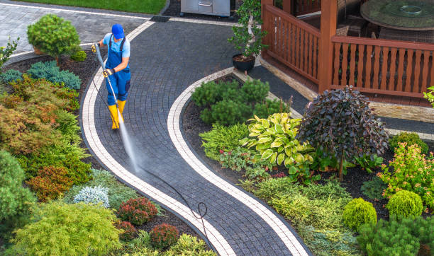Best Affordable Power Washing  in Adrian, MI