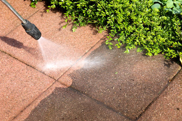 Best Commercial Building Pressure Washing  in Adrian, MI